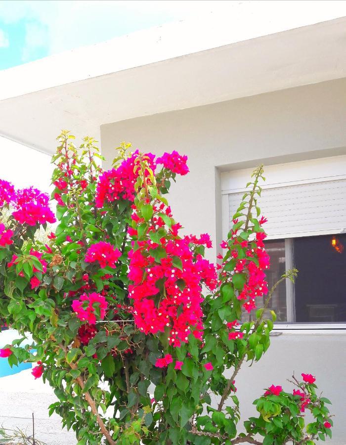 Casa Katina , Villa In Lagana, Agrilia Area Laganász Kültér fotó