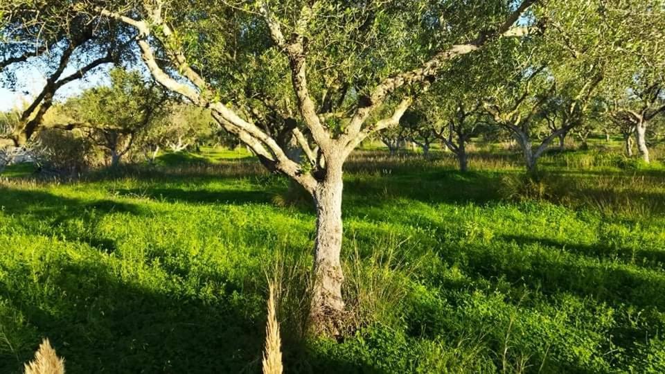 Casa Katina , Villa In Lagana, Agrilia Area Laganász Kültér fotó
