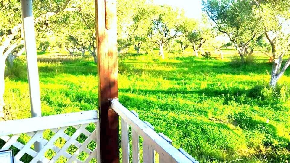 Casa Katina , Villa In Lagana, Agrilia Area Laganász Kültér fotó