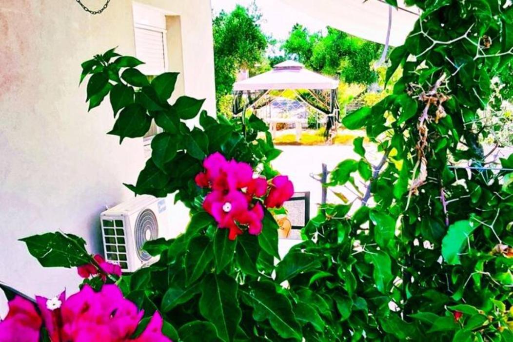 Casa Katina , Villa In Lagana, Agrilia Area Laganász Kültér fotó
